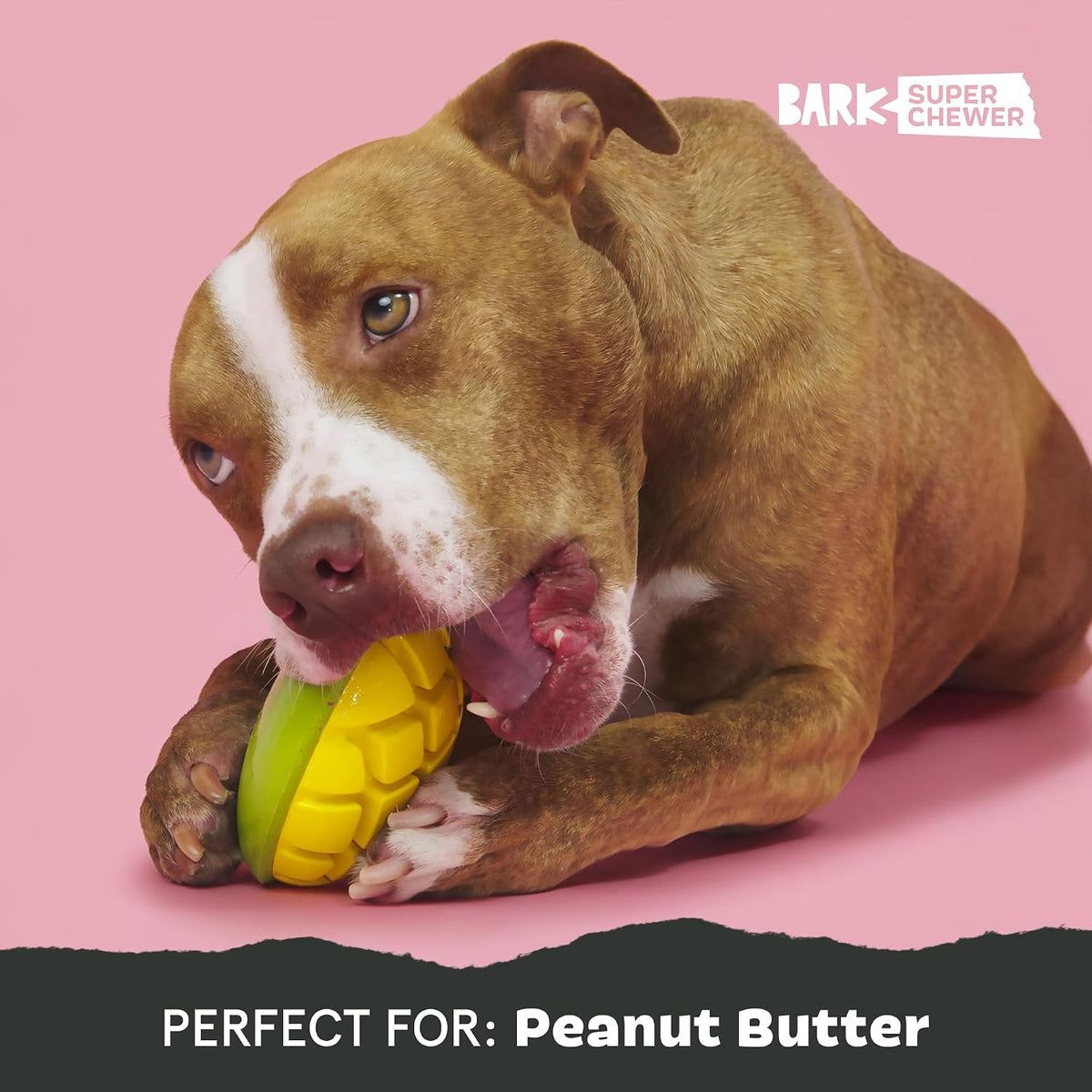 BARK Go Mango Interactive Treat Dog Toy