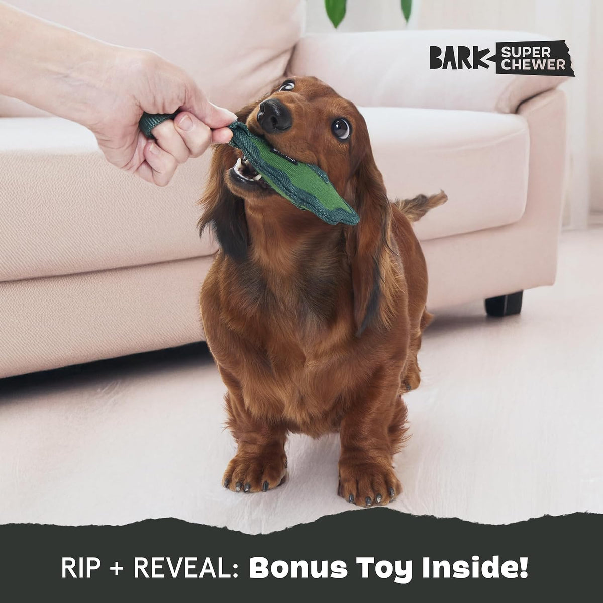 BARK Rip And Reveal Green Chew Leaf Dog Toy