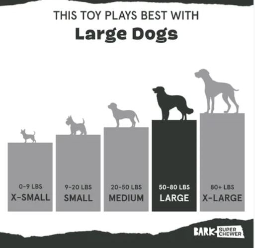 BARK Rip & Reveal Great White Dwight Super Chewer Dog Toy