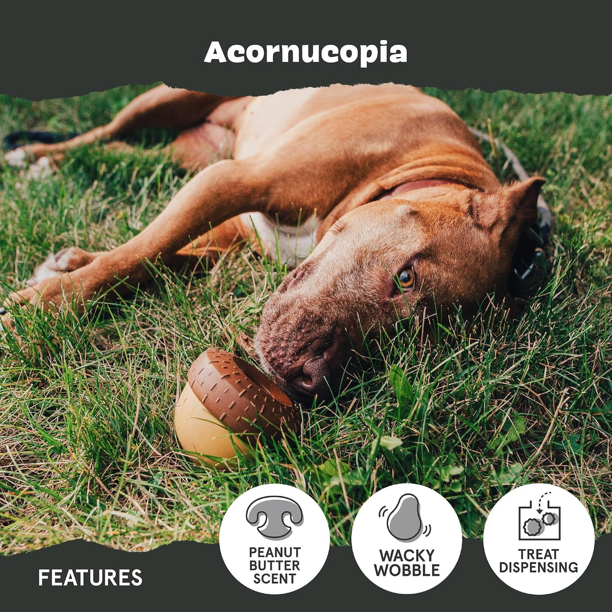 BARK Acornucopia Treat Dispensing Dog Toy