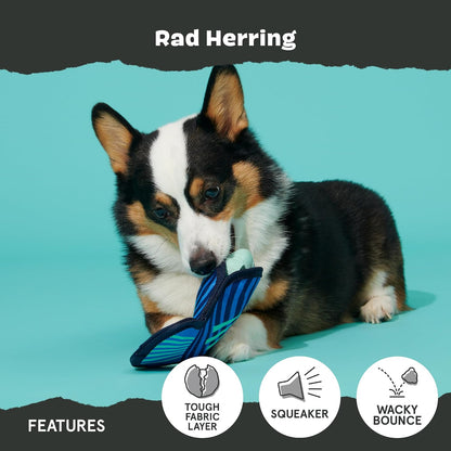 BARK Rip And Reveal Blue Rad Herring Dog Toy