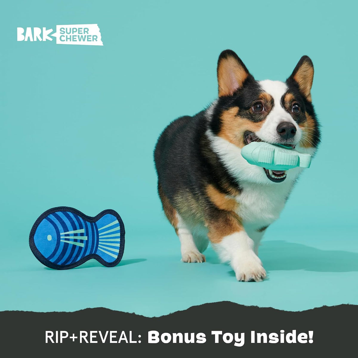 BARK Rip And Reveal Blue Rad Herring Dog Toy