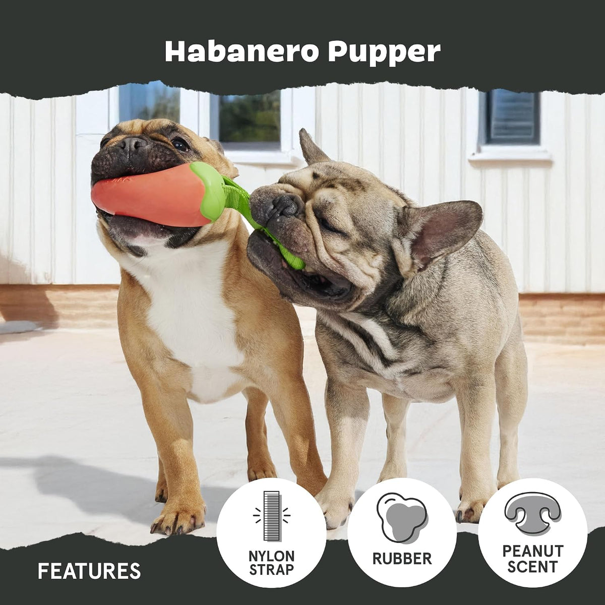 BARK Habanero Pupper Super Chewer Dog Toy