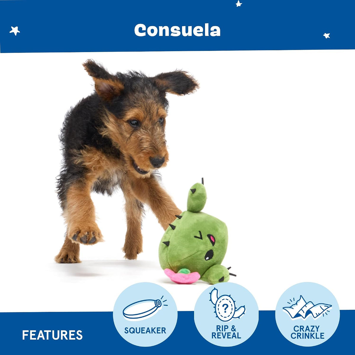 BARK Consuela The Cactus 2 in 1 Interactive Dog Toy