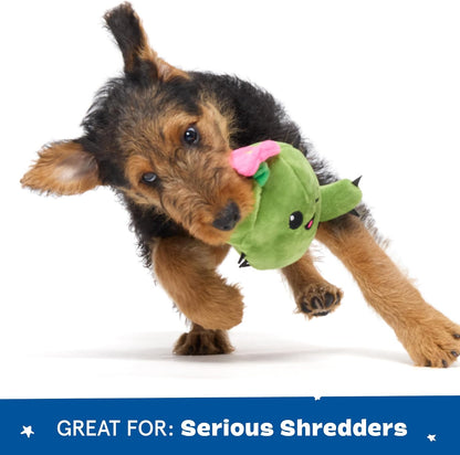 BARK Consuela The Cactus 2 in 1 Interactive Dog Toy