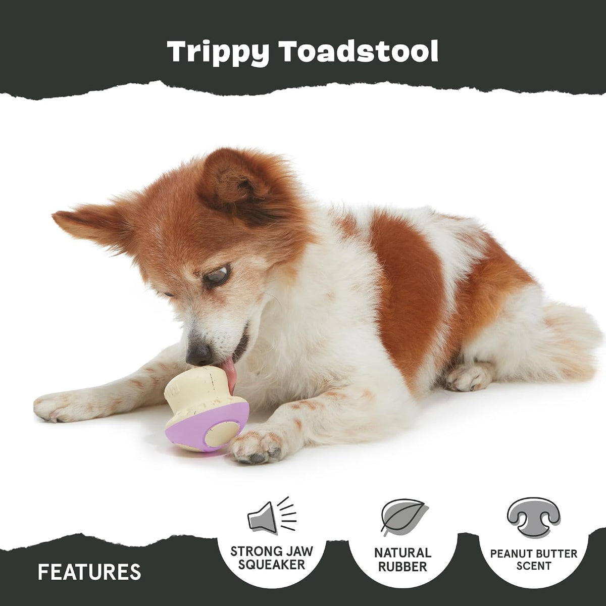 BARK Super Chewer Trippy Toadstool Dog Toy