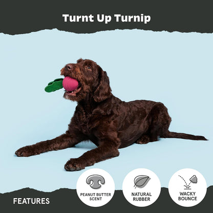 BARK Super Chewer Turnt Up Turnip Dog Toy