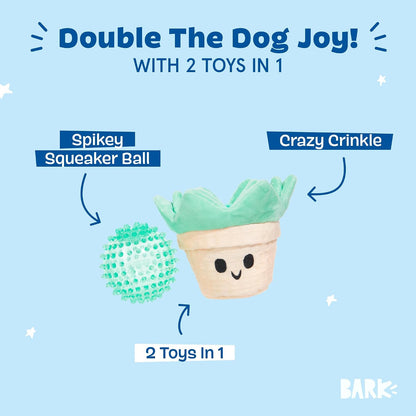 BARK Suki Succulent 2 in 1 Interactive Dog Toy