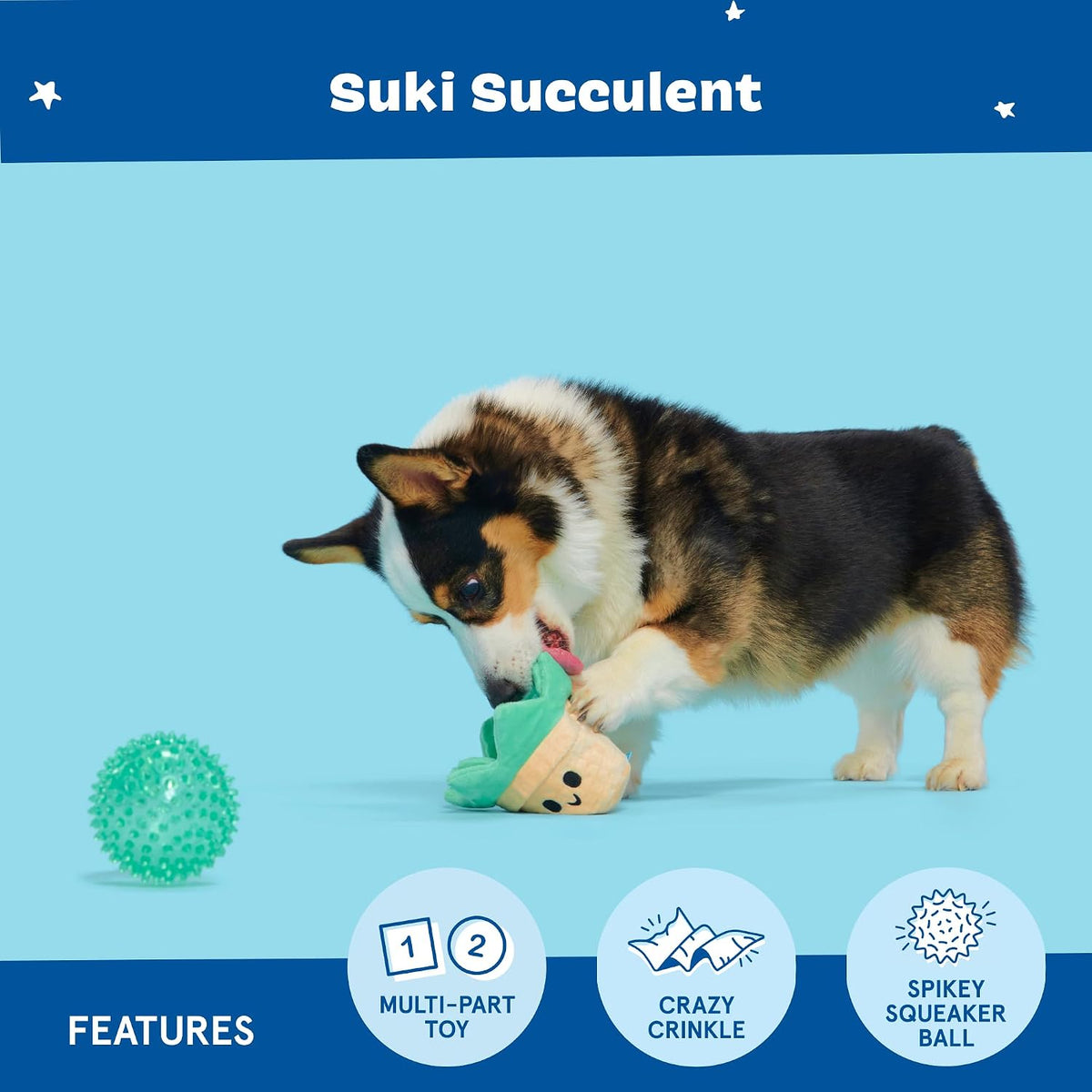BARK Suki Succulent 2 in 1 Interactive Dog Toy