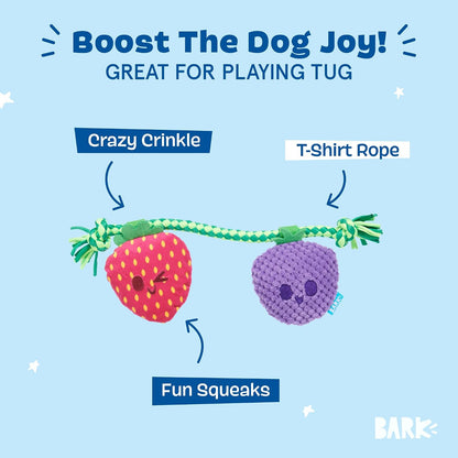 BARK Best Berry Friends Tug Dog Toy