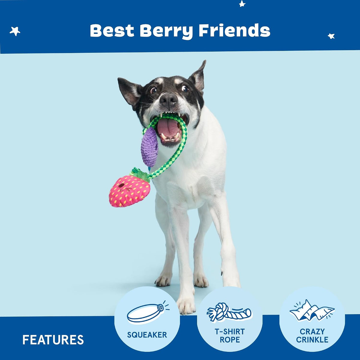 BARK Best Berry Friends Tug Dog Toy