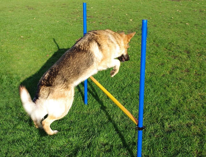 Pet Brands Agility Hurdle Jump for Dogs