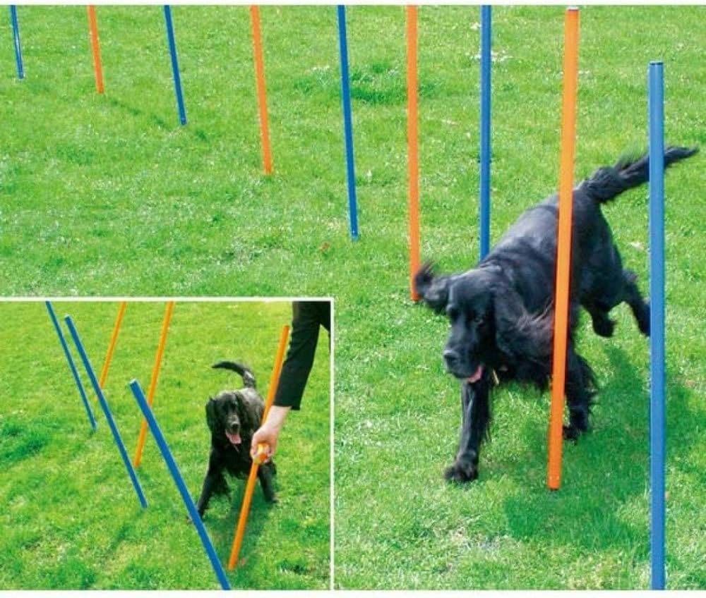 Pet Brands Agility Slalom Poles for Dogs