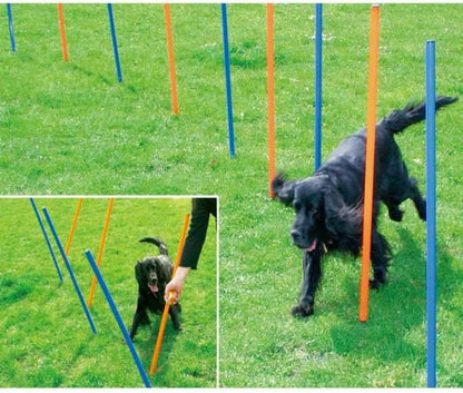 Pet Brands Agility Slalom Poles for Dogs