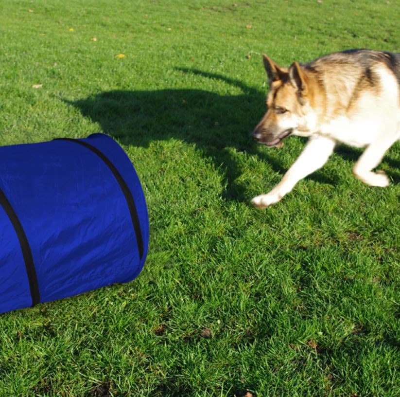 Pet Brands Agility Tunnel for Dogs
