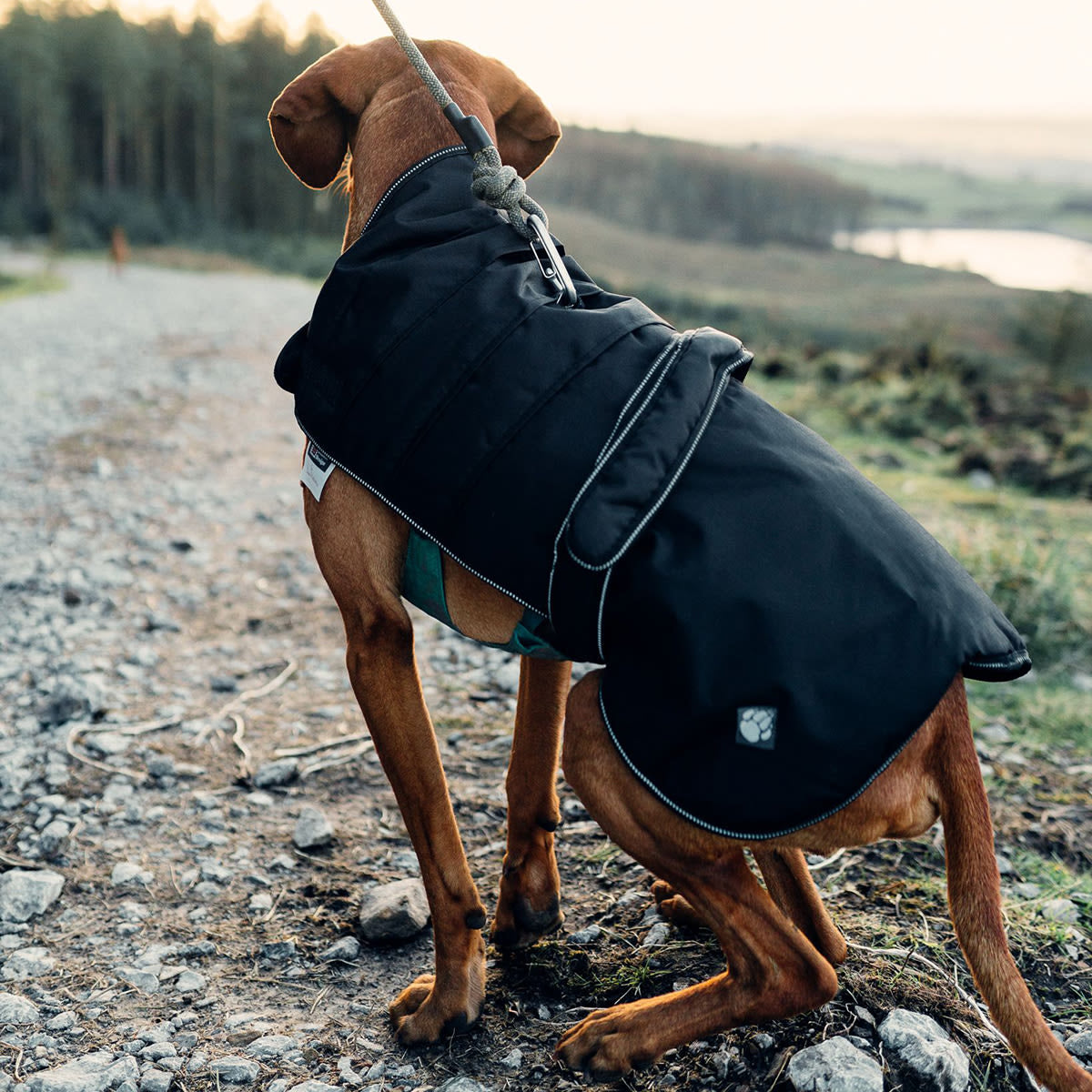 Danish Design Harness Dog Coat - Black