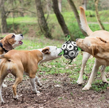 M-Pets Soccer Ball Dog Toy