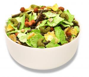 Mr Johnson's Supreme Rabbit Mix