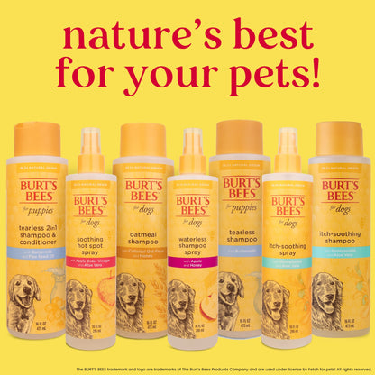 Burt's Bees Oatmeal Dog Shampoo