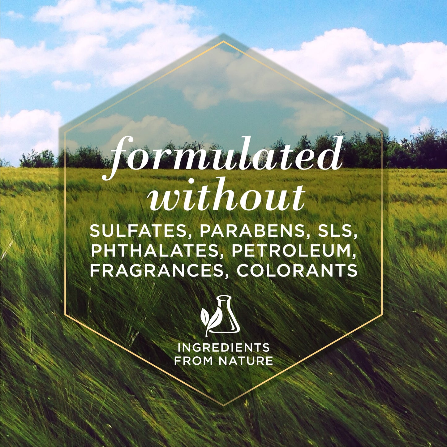 Burt's Bees Multipurpose Dog Wipes with Honey