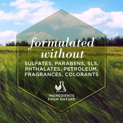 Burt's Bees Multipurpose Dog Wipes with Honey