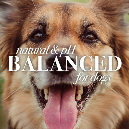 Burt's Bees Multipurpose Dog Wipes with Honey