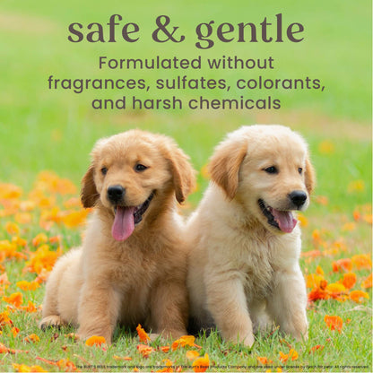 Burt's Bees Tearless 2 in 1 Shampoo and Conditioner for Puppies with Buttermilk & Linseed Oil