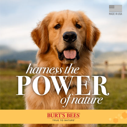 Burt's Bees Paw & Nose Dog Lotion