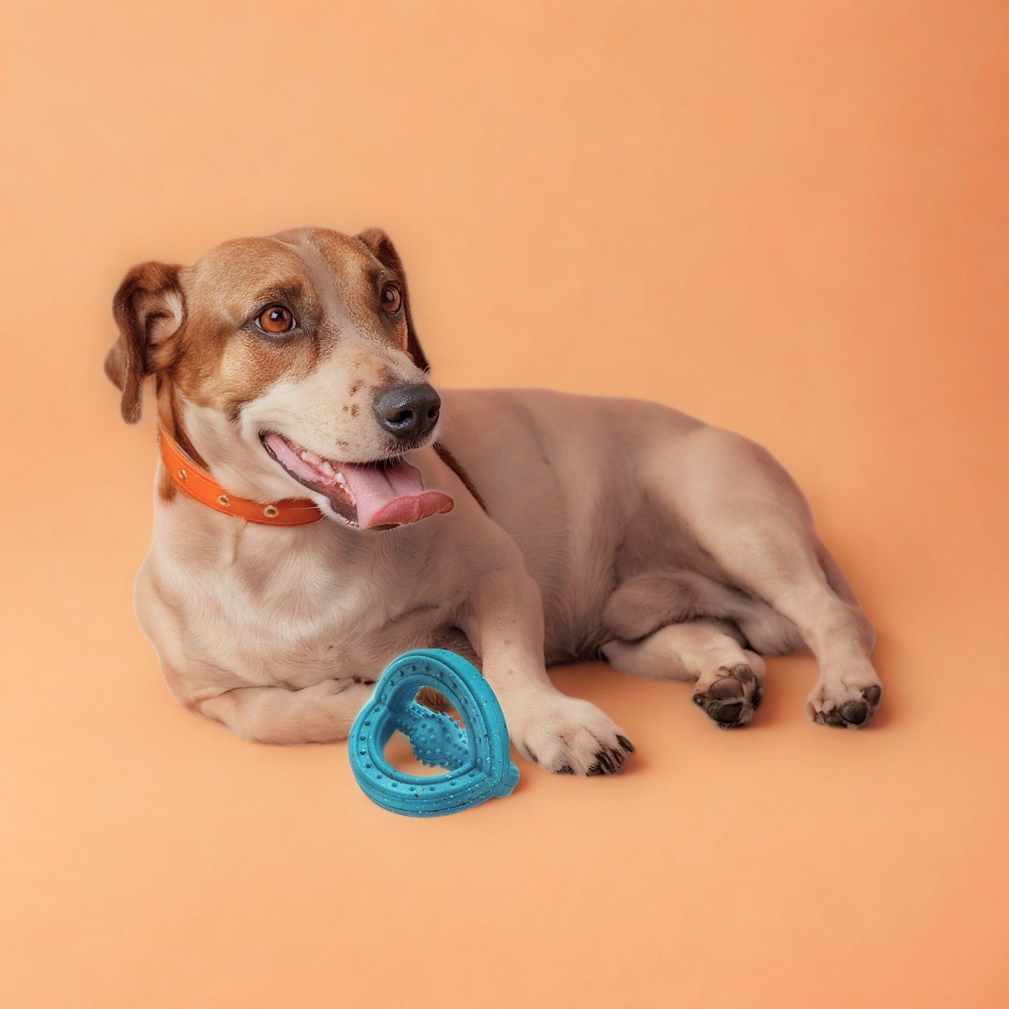 Max Fusion Phoenix Dog Toy