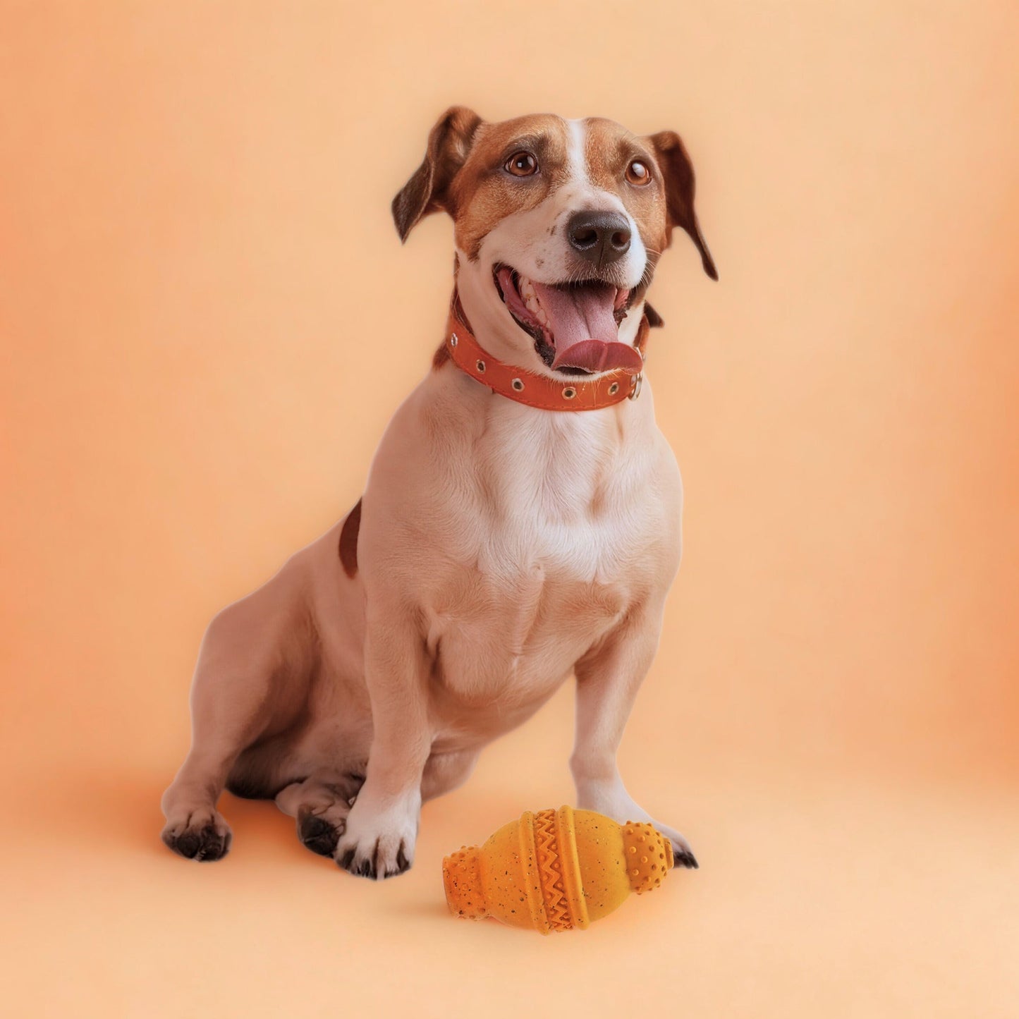 Max Fusion Cannon Dog Toy