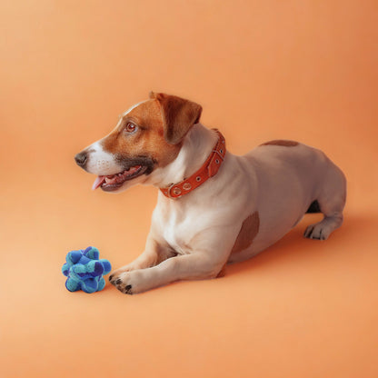 Max Fusion Pop It Dog Toy