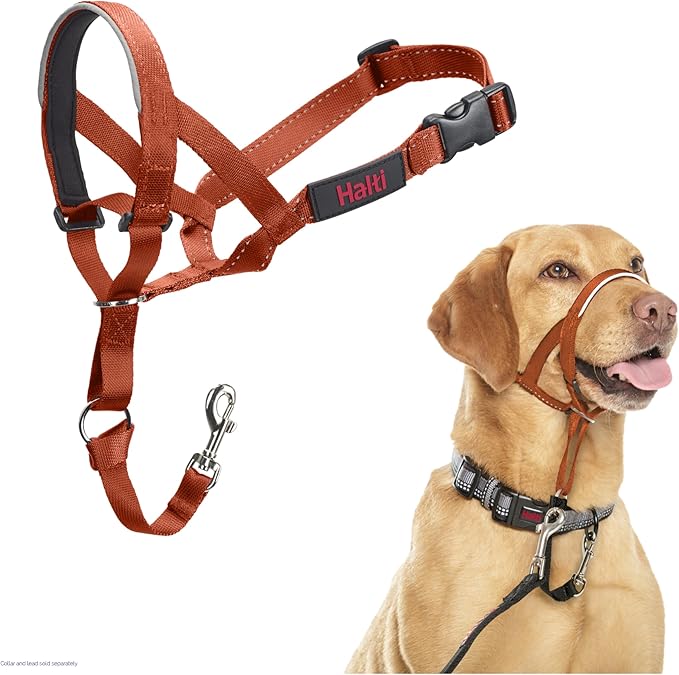 Halti Train Headcollar Burnt Orange