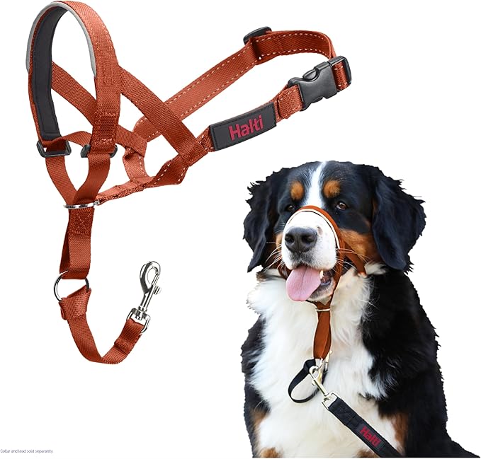 Halti Train Headcollar Burnt Orange
