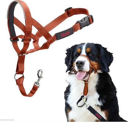 Halti Train Headcollar Burnt Orange