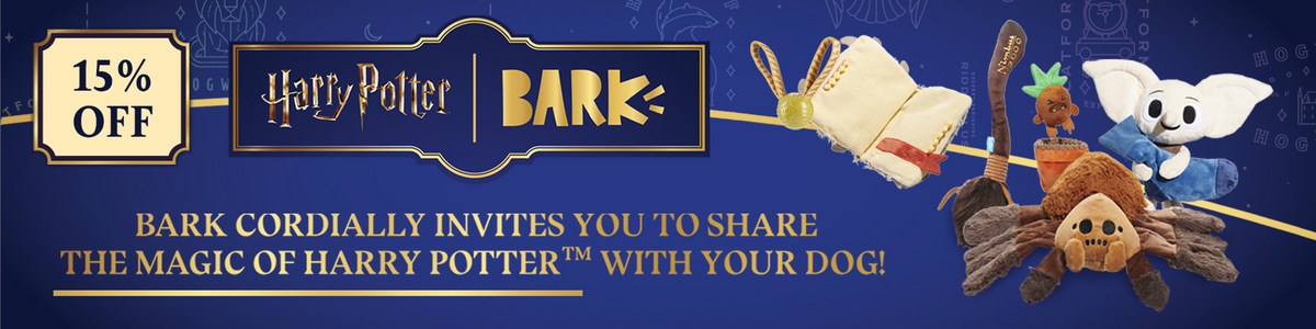 Top promo image