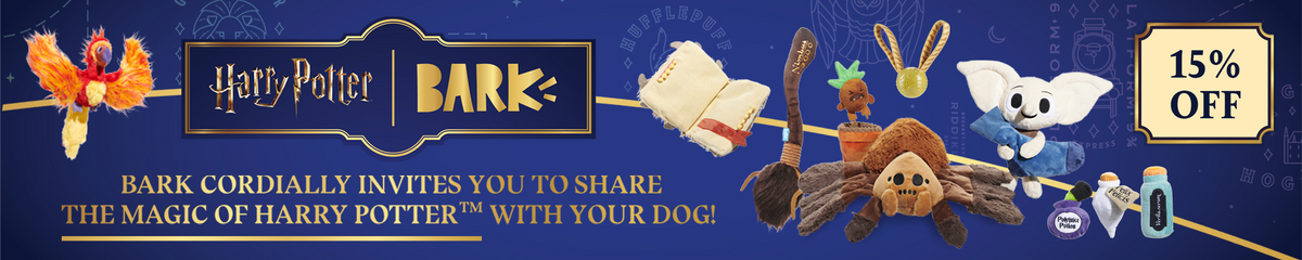 Top promo image