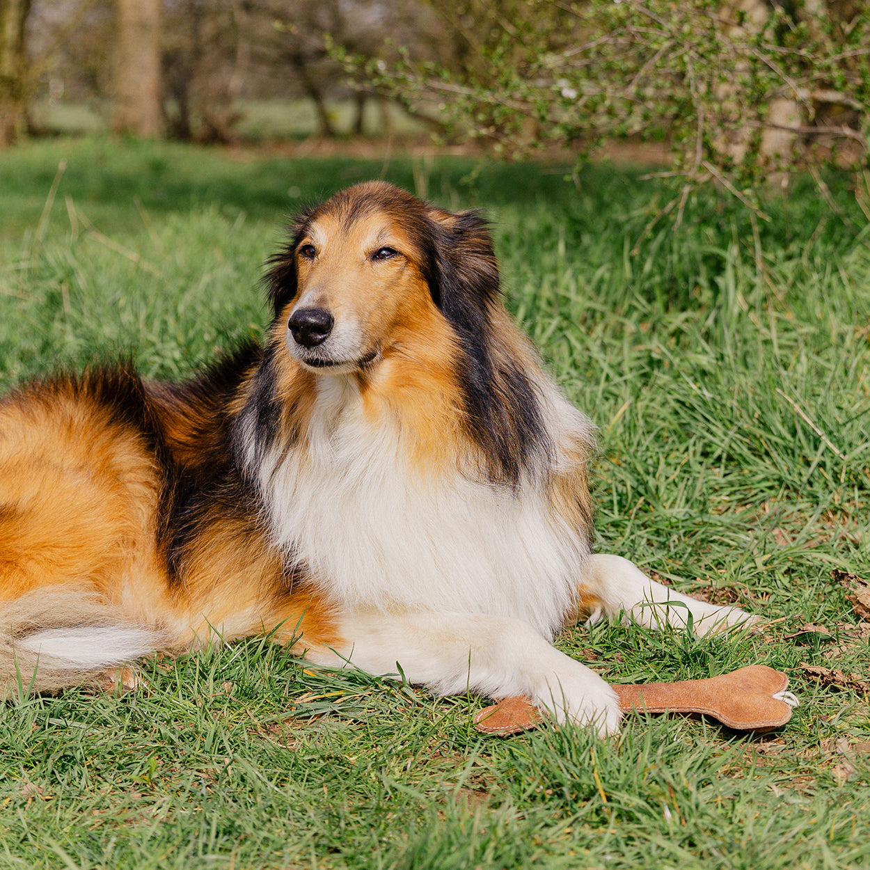 Banbury & Co Rural Retreats Suede Bone Dog Toy