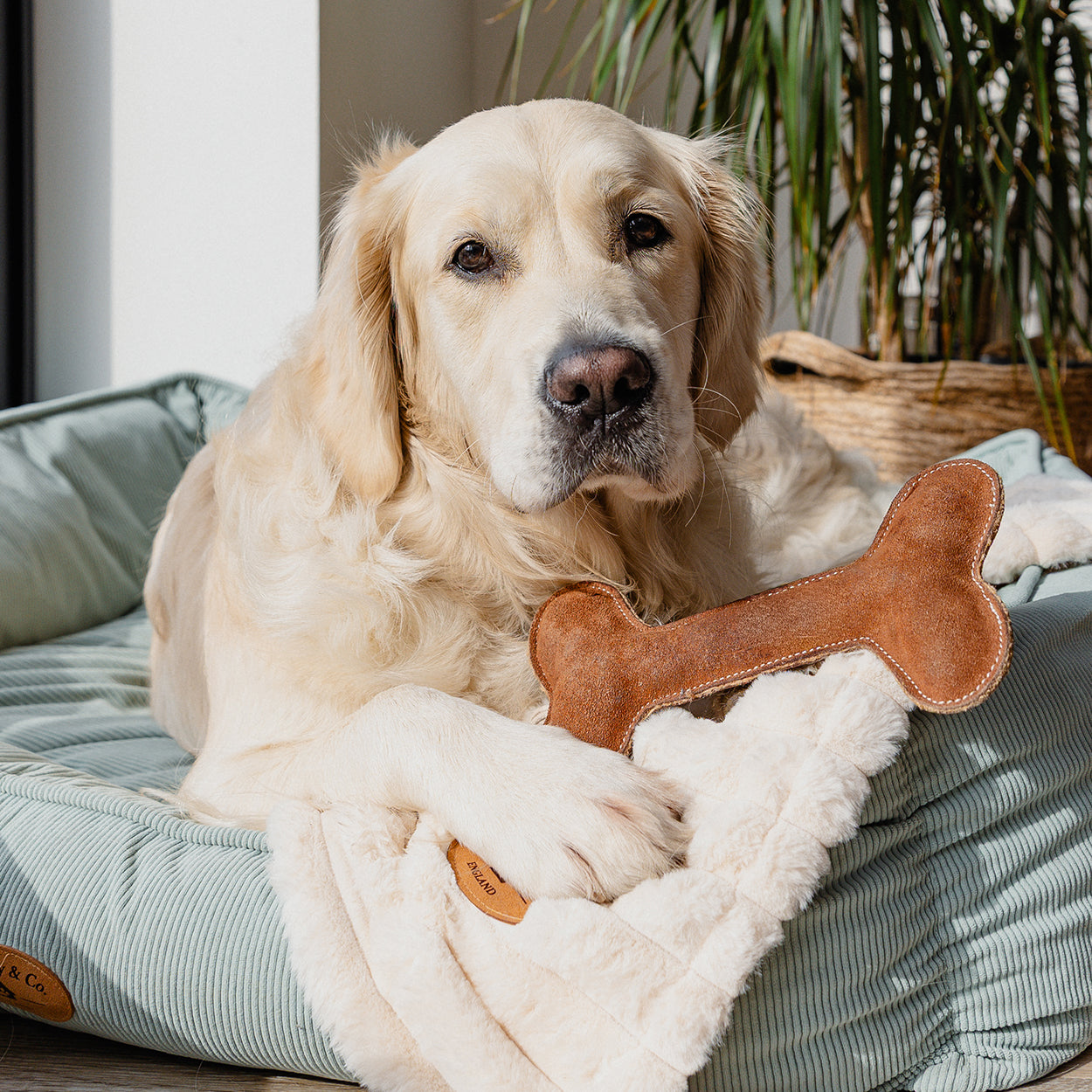 Banbury & Co Rural Retreats Suede Bone Dog Toy
