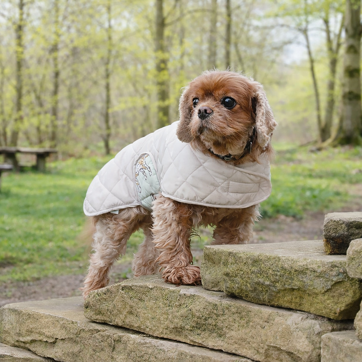 Banbury & Co Rural Retreats Grey Quilted Dog Coat