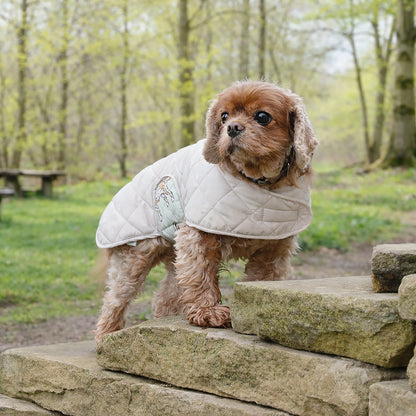 Banbury & Co Rural Retreats Grey Quilted Dog Coat