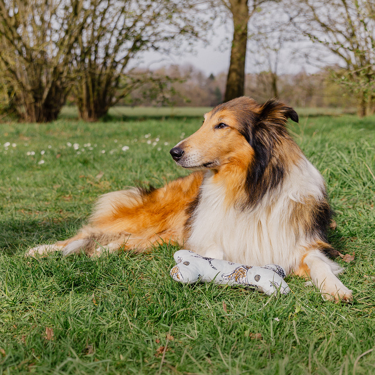 Banbury & Co Rural Retreats Cotton Bone Dog Toy