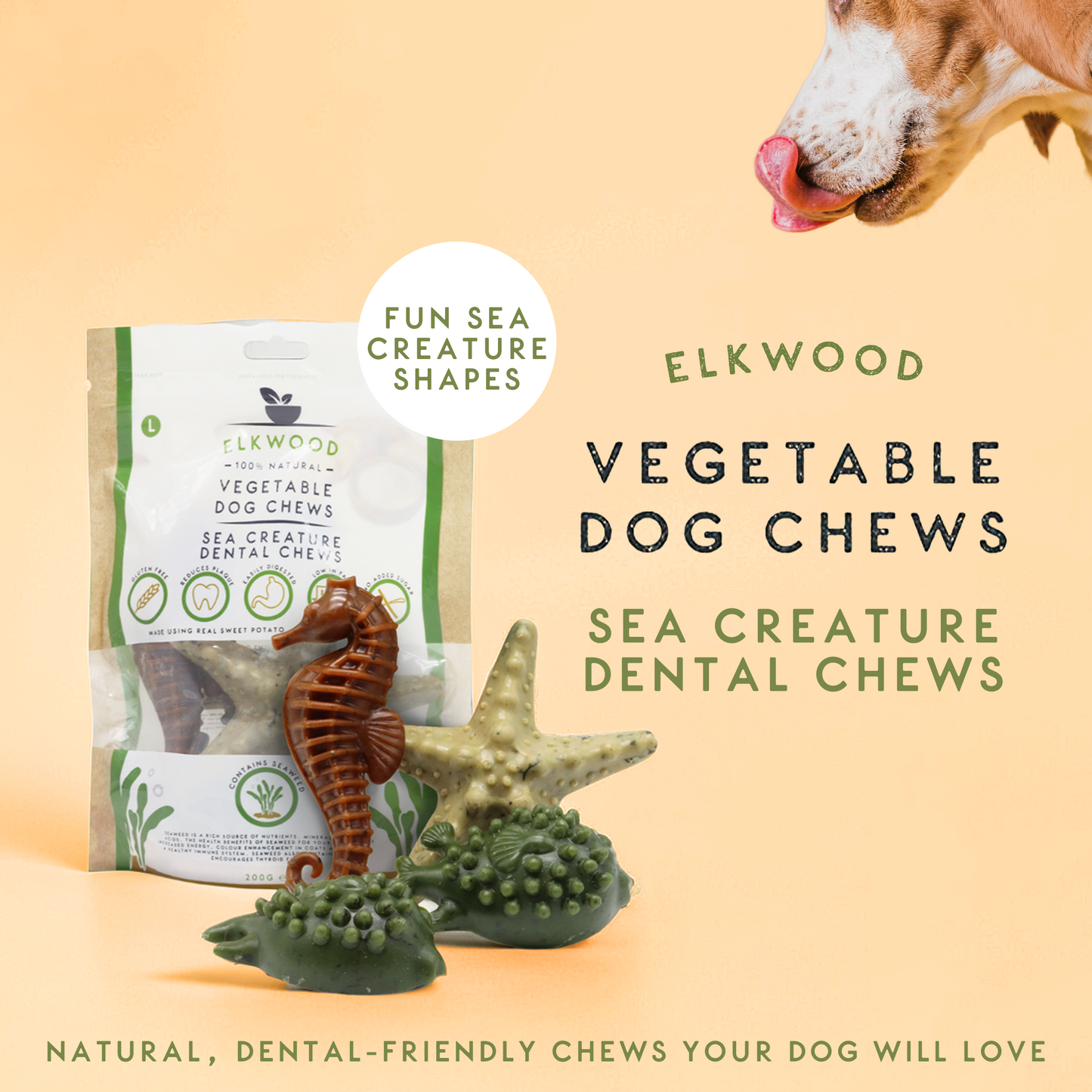 Elkwood Seaweed & Vegetable Dental Dog Chews | Large 10-Pack