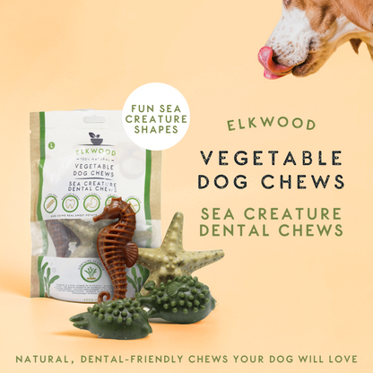 Elkwood Seaweed & Vegetable Dental Dog Chews | Large 10-Pack