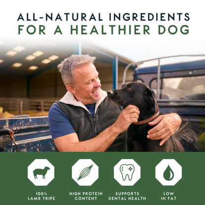 Elkwood 100% Lamb Tripe Sticks Dog Treat | 200g