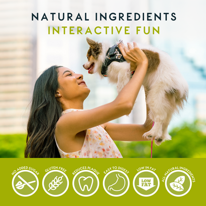 Elkwood Rattlesnaps Peanut & Pumpkin Dental Chew with Chicken | 4-Pack