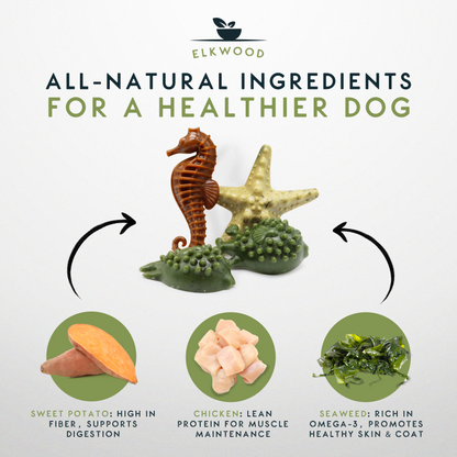 Elkwood Seaweed & Vegetable Dental Dog Chews | Large 10-Pack