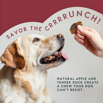 Elkwood Dried Apple Chunks Wrapped in Duck Jerky | 100g