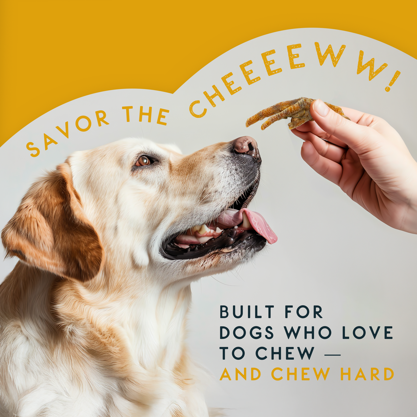 Elkwood 100% Chicken Feet Dog Treat | 160g