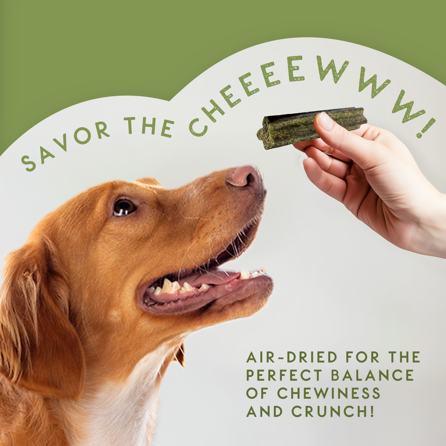 Elkwood Sponge Dental Stick | 7-Pack