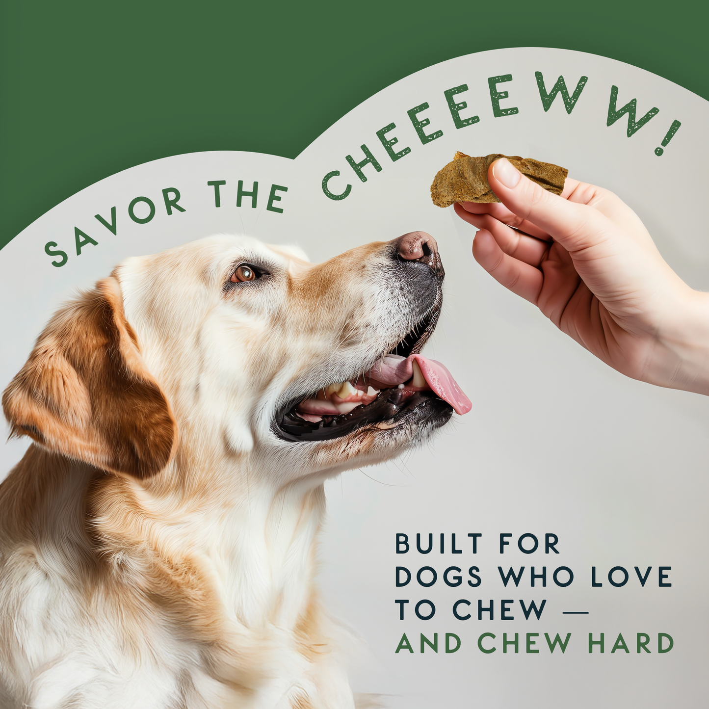 Elkwood 100% Lamb Tripe Sticks Dog Treat | 200g